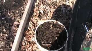 How to Get Totally Free 100% Organic Compost