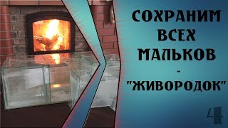 Сохраним всех мальков живородок