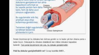 EN İYİ PENİS BÜYÜTME TEKNİKLERİ