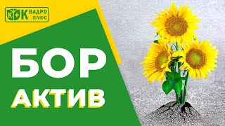 Бор Актив - посилена формула бору для рослин!