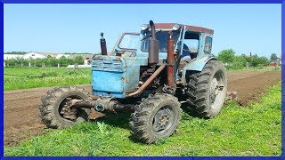 Погибает Всё Живое Фреза 2013