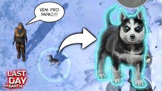 ATT 1.12 - ENCONTREI UM FILHOTE DE LOBO HUSKY - LAST DAY ON EARTH