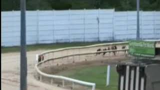 IGB - The Welcome to Curraheen Park  18/05/2019 Race 1 - Curraheen Park