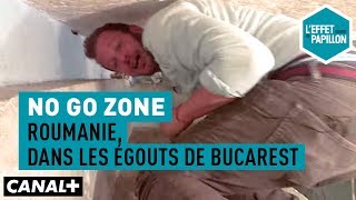Roumanie, dans les égouts de Bucarest : No Go Zone - L’Effet Papillon – CANAL+