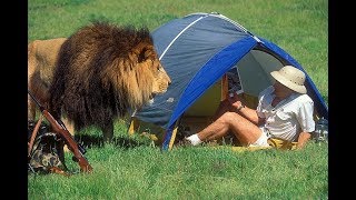 Большая подборка нападений животных на человека