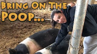 Bring On The Poop Homestead VLOG