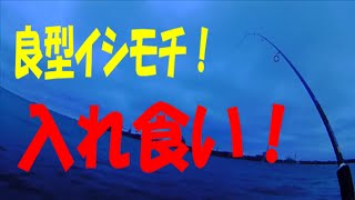 イシモチが入れ食い！投げれば釣れる珍しい東扇島西公園釣行！
