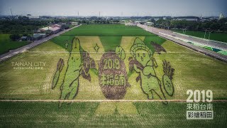 來稻台南～2019台南彩繪稻田 空攝