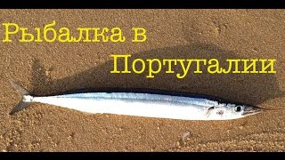 Рыбалка в Португалии | Рыбалка в атлантическом океане