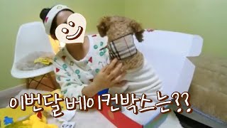 강아지선물박스 11월호 베이컨박스 언박싱 / 세서미스트리트 / 최강또라이푸들