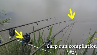 Carp Run Compilation! #2 [Frein serré]