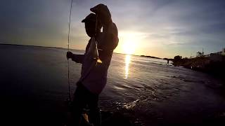Pescando Corvinas en Yucalpeten 2019