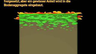 Folge 2 - Pflanzen - Nahrung für alle