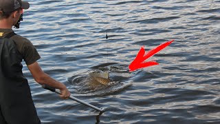 Ловля карпа на бойлы.Карпфишинг/Carp fishing boilies on.Carp fishing