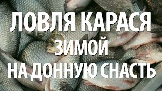 ЗИМНЯЯ РЫБАЛКА на КАРАСЯ ДОННОЙ СНАСТЬЮ. НАСАДКА для ЛОВЛИ КАРАСЯ ЗИМОЙ