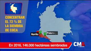 Caquetá y Antioquia departamentos con mayor reincidencia en cultivos de coca
