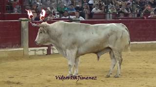 Zaragoza 13/10/2018 / NOCHE - Final - HD
