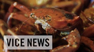 These fishermen say Obama’s new ocean preserve will leave them high and dry
