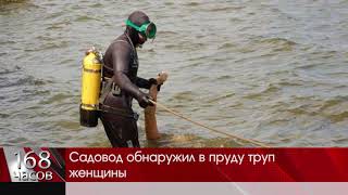 Садовод обнаружил в пруду труп женщины