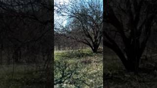 Сухоносівка. Миців ярок. Екскурсія. Частина І