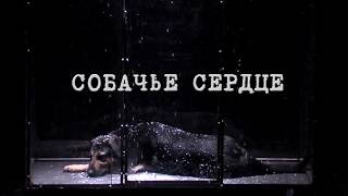 Спектакль "Собачье сердце ", М.Булгаков. (18+). Русский драмтеатр "Мастеровые", г. Набережные Челны