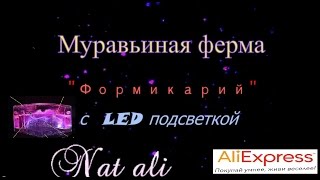 ШОК! Формикарий с LED подсветкой | Муравьиная ферма с AliExpress | Посылки из Китая