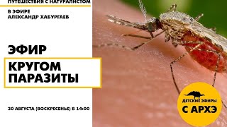 Детский эфир "Кругом паразиты" в рамках рубрики "Путешествия с натуралистом"