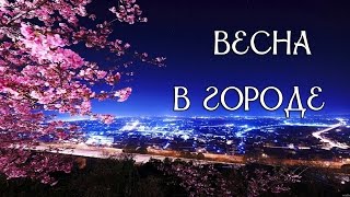 Весна в городе! Из Новосибирска с любовью!