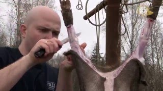 Разделка кабана.