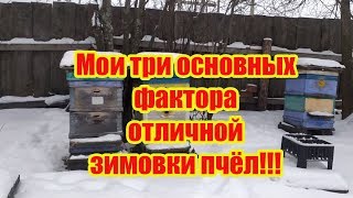???ОТЛИЧНАЯ ЗИМОВКА ПЧЕЛОСЕМЕЙ НА ВОЛЕ, МОИ ОСНОВНЫЕ ТРИ ФАКТОРА