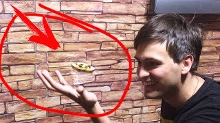 НОВИНКА ЛЕТАЮЩИЙ СПИННЕР ! Spinner !