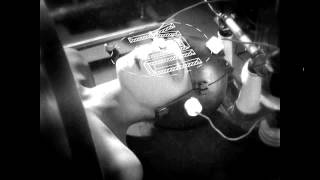 Local Sightings Film Festival 2013: Trailer #3