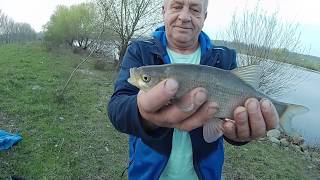 Klasyczny feeder, Duże leszcze, piękna płoć, oraz pstrąg na feeder