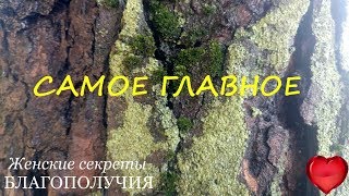 НАБЕРИСЬ СМЕЛОСТИ, СДЕЛАЙ ПОПЫТКУ! ПРИТЧА