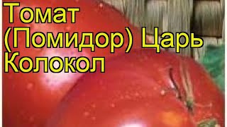 Томат обыкновенный Царь Колокол. Краткий обзор, описание характеристик, где купить семена