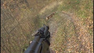 ЗАГОННАЯ ОХОТА НА КОСУЛЮ / БЕЗ ЦЕНЗУРЫ !!! / #Охота / #Hunter / #Hunting / Косуля / Кабан / Олень