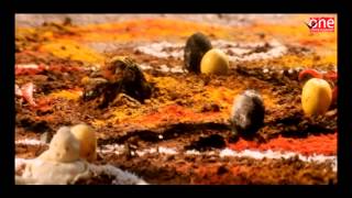 Aaj Ka Devi Putra Full Movie | Hindi Dubbed Movies 2018 Full Movie | Venkatesh | Action Movie