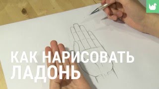 Как нарисовать ладонь