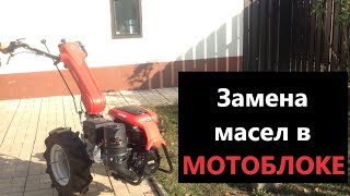 Замена масла в мотоблоке.