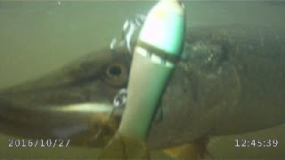 DEPS Slide Swimmer 115 - хороший щучий свимбейт.Pike Fishing.