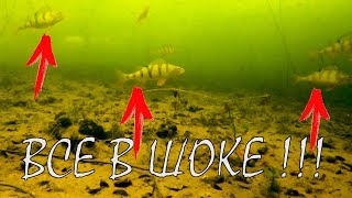 Реакция рыбы на КУЧУ мормышек!!! Подводная съемка. Зимняя рыбалка 2018
