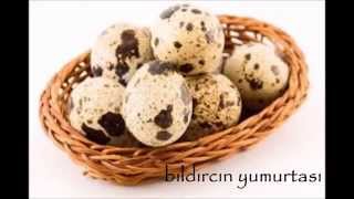 KÖY YUMURTASI GÜNLÜK YUMURTA ORGANİK YUMURTA NATUREL YUMURTA  İSTANBUL SATIŞ