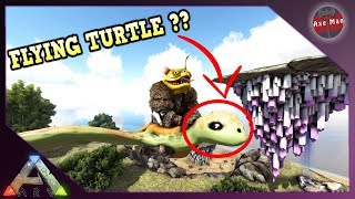 A FLYING TURTLE?? BUILD A FLOATING ISLAND | ARK SURVIVAL EVOLVED