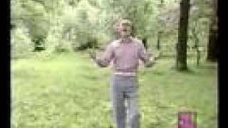Евгений Мартынов - Яблони в Цвету