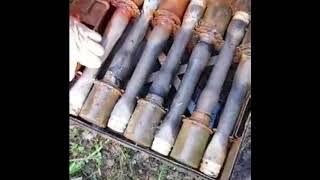 Раскопки в Ленинградской области 13