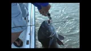 Redfish on the Bottom (part 1)