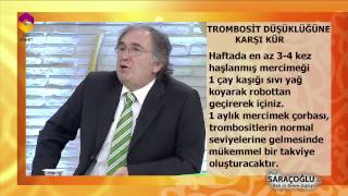 Trombosit Düşüklüğüne Karşı Kür - DİYANET TV