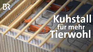 Für Tierwohl und Umwelt: Ein Kuhstall aus Holz | Unser Land | BR Fernsehen