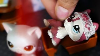 LPS "ЖИЗНЕННО" (15) - Типичная БОЛЬНИЦА