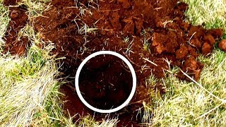 КОГДА СЫН ПОКАЗАЛ НАХОДКУ- НОГИ ПОДКОСИЛИСЬ И БРОСИЛО В ЖАР! Смотреть до конца!!